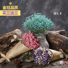 【满天星干花】干花花束家居摆设真花永生花小清新插花干枝装饰