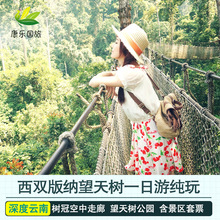 西双版纳旅游热带雨林望天树一日游纯玩 景区套票西双版纳1日游