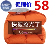 恋人水星特价 羽绒被95白鹅绒6 10斤加厚鸭绒被子保暖冬被芯双人