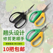 葡萄协会推荐 修果剪 稀果剪 纤细芽切剪 翘头剪刀 蔬果剪 葡萄