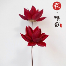 【莲花】禅意睡莲仿真荷花天然手工干花客厅茶室陈列装饰古风道具