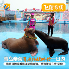 青岛旅游极地海洋世界金沙滩一日游双馆门票纯玩亲子游