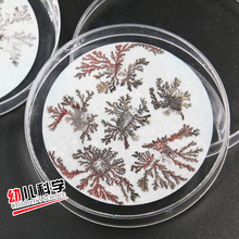 化学实验器材小学生学具教具 DIY科技小制作科学小实验 铁树开花