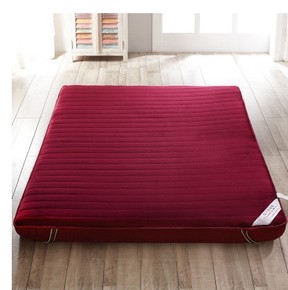 榻榻米保护垫被床垫加厚冬季保暖海绵软床褥子床上用品1.5m