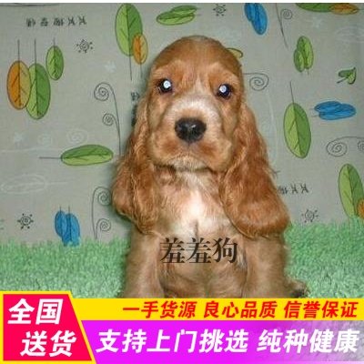 中国工商银行中国网站-信用卡频道-卡片开元棋牌- 开元棋牌官网 - 开元棋牌APP下载世界栏目