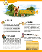 吃狗粮的好处宠物店贴画狗狗画宠物店墙画装饰画芯背胶贴墙画147