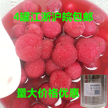 3000g 包邮 水果罐头江浙沪皖6罐起 江塔牌铁罐糖水杨梅罐头3kg