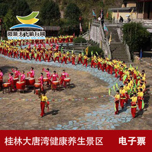 龙胜大唐湾健康养生景区门票 桂林旅游景点 当天可定 民俗文化
