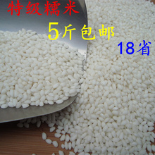 粘大米 包粽子原料 黏米 优质江米 纯糯米 东北特产 500克