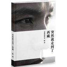 华东师范大学出版社 个人作品青春都市言情励志正能量文学正版小说书籍新华书店旗舰店文轩官网 陈坤继鬼水瓶后 突然就走到了西藏