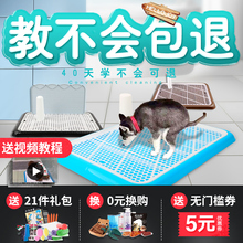 狗厕所大号大型犬宠物狗狗用品尿尿盆便盆自动冲水小型犬拉布拉多