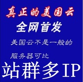 美国云服务器VPS虚拟机CN2线香港站群不限内容流量多IP服务器租用