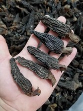 羊肚菌干货野生500g羊肚菌新鲜特级羊肚蘑菇羊肚菇羊杜菌 特价