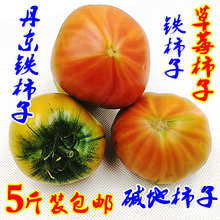 丹东东港番茄西红柿草莓柿子铁皮柿子2500g油柿子绿腚柿子5斤 包邮