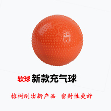 柔力球太极柔力球充气球软球太极球太极手球 榕树牌正品