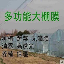 进口透明农用薄膜保温蔬菜大棚膜加厚养殖防晒黑白膜防水
