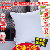 抱枕芯45沙发靠垫芯靠背长靠枕芯50 40方枕芯正方形枕芯