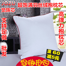 抱枕芯45沙发靠垫芯靠背心靠枕芯50 55 60 65 40方枕芯正方形枕芯