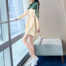 网红初秋长袖 潮时尚 女装 2019年新款 卫衣连衣裙气质早秋款 秋装 潮流