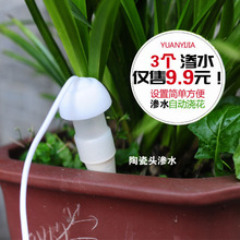 办公室虹吸自动浇花器多肉植物浇水器滴灌设备陶瓷施肥渗水器 新品
