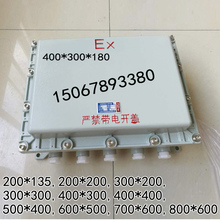 500 300防爆箱 400 400防爆配电箱控制箱仪表箱接线箱空开模块箱
