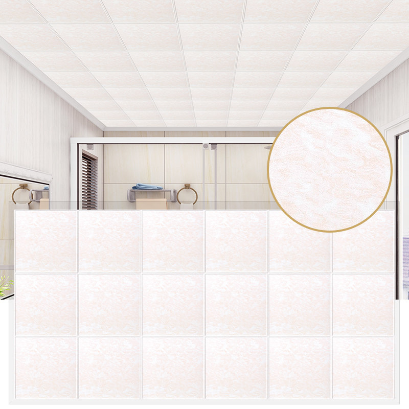 ŷ���������۰�ZH-44p-62794-FL