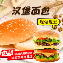 送酱送纸 包邮 肯德基汉堡面包新鲜kfc汉堡包30对 营养早餐汉堡胚