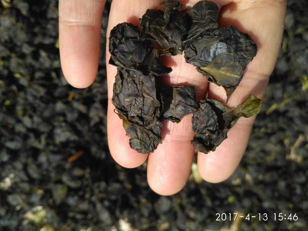 年清明新茶雪峰甜茶野生多穗石柯胜青欠留石崖茶包邮糖友清补凉18