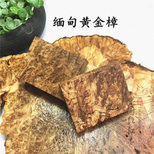 缅甸黄金樟木料瘤疤料雕刻料刀柄弓把手串火机料原材料