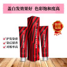 丝艺染膏 美发沙龙店专用染发膏 10支起卖 (不配双氧)