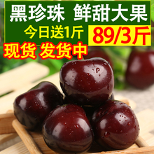 黑珍珠山东烟台大樱桃车厘子3斤 新鲜水果5非现货10现摘现发