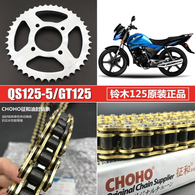轻骑铃木摩托车骏驰GT125套链 QS125-5大小齿轮牙盘征和油封链条