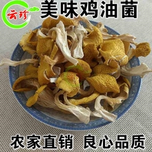 黄干货榆黄菌黄丝菌北风菌云南 特级鸡油菌 包邮 野生菌特产菇400g