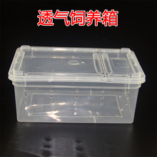 蚕宝宝透气饲养箱 宠物爬虫饲养盒掀盖式设计食品级pp材质硬度