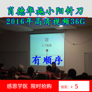 2016肖德华施小阳针刀培训高清视频36G（有顺序版本）