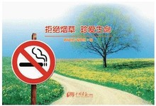 拒绝烟草 大8开24张 宣传挂图 远离烟草 珍爱生命 包发票正版