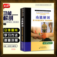 现代临床按摩系列天津科技翻译出版公司功能及触诊养生健身中医学 解剖功能及触诊 功能解剖肌与骨骼 正版现货