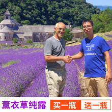 丸蔻薰衣草纯露祛痘控油爽肤补水收缩毛孔精油花水天然正品