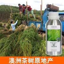 丸蔻茶树纯露祛痘控油爽肤补水收缩毛孔精油花水天然薰衣草迷迭香
