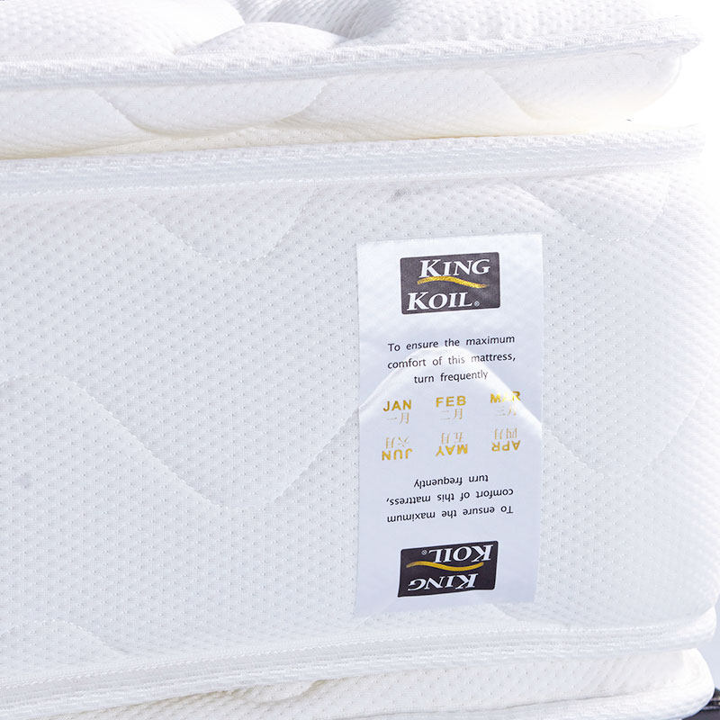 ��ɶ���װ���ɼ�ͥ���齺����