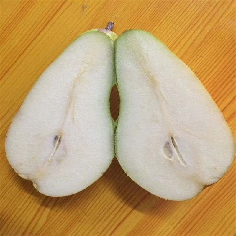 比利时啤梨原箱18~24个装 荷兰进口啤梨truva