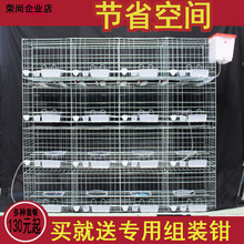 鸽子用品用具鸽笼子加粗12位16位养殖笼信鸽配对笼肉鸽繁殖笼 热卖