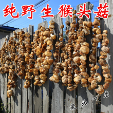东北特级纯野生大兴安岭散货新鲜250g 可熬猴头菇茶 猴头菇干货新