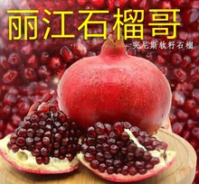 抖音丽江石榴哥金国伟1店网红石榴现摘河阴软籽石榴6斤装金国伟店
