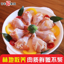 散养土鸡鲜翅根 鲜冻鸡翅根500g 买三送一 烧烤食材小鸡腿琵琶腿