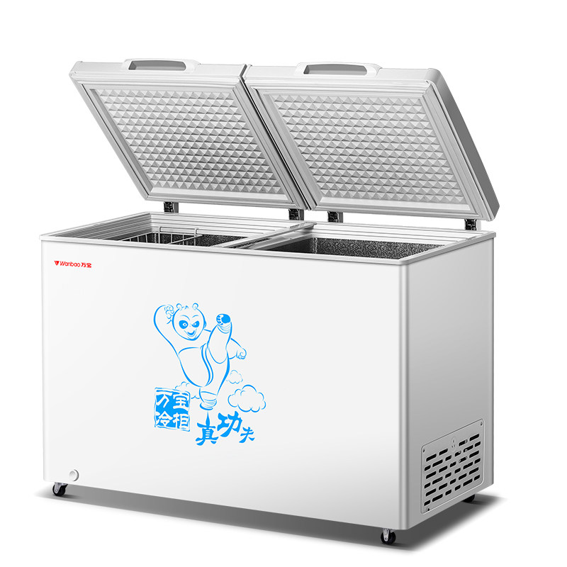 ��˫�����ñ���BCD-296B