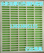 兔笼防啃咬塑料底柏 兔用脚垫 塑料笼底柏 兔脚底 兔笼用塑料底柏