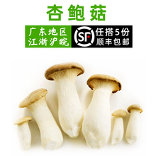 包邮 美味菌菇 肉厚鲜嫩 江浙沪皖5件 新鲜蔬菜 蘑菇 杏鲍菇500g