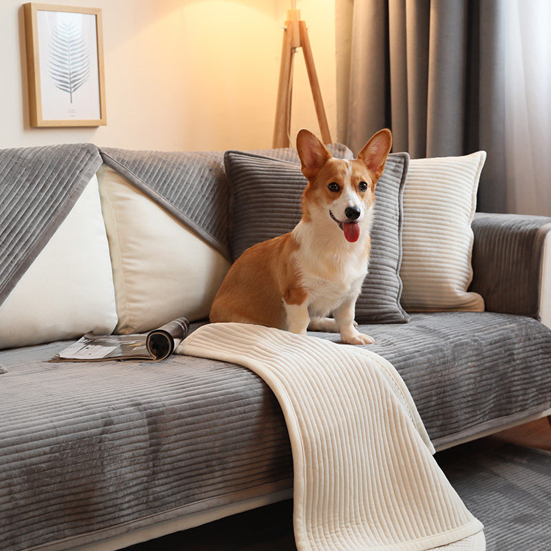 Ф��֮��ë��ɳ����XH105