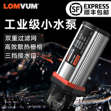 龙韵12V小水泵抽水家用型220V潜水自吸微型全自动高扬程水钻水泵
